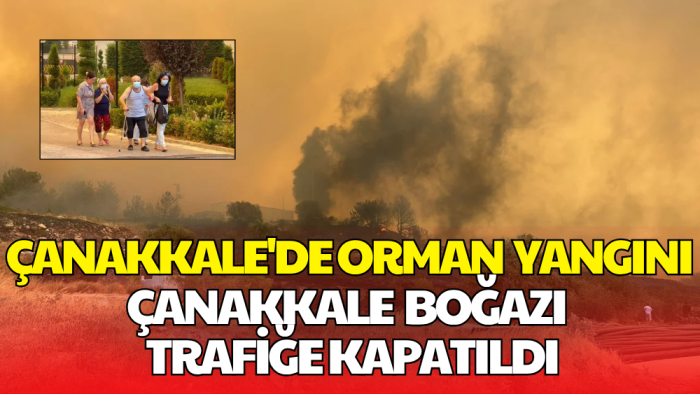 Çanakkale’de Orman Yangını Alarmı: Boğaz Trafiğe Kapatıldı, Üniversite Tahliye Edildi